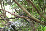 DSC_9052.JPG